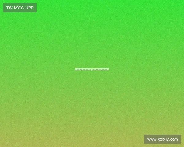 没有眼睛的电子竞技明星;盲眼电竞之王的非凡征程